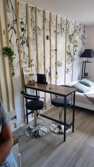 Hsh France Location Disney Land Paris - Suite Nicolas - Appartement De Charme Bussy-Saint-Georges Eksteriør bilde